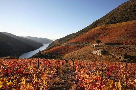 95后他们用抖音改变世界，景典传媒教旅游运营者你应该这样做！